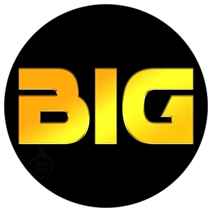 BIGHOKI - Pertarungan Sengit untuk Penggemar Fighting
